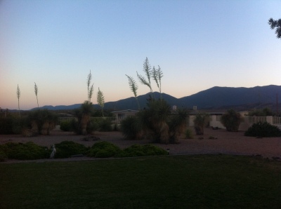 view in AZ